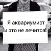 Аватара пользователя