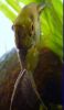 file.php?avatar=3455 1303969323