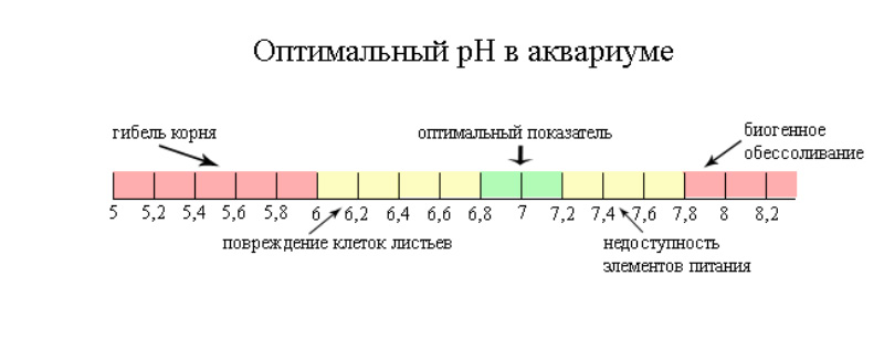 Вода с повышенным ph