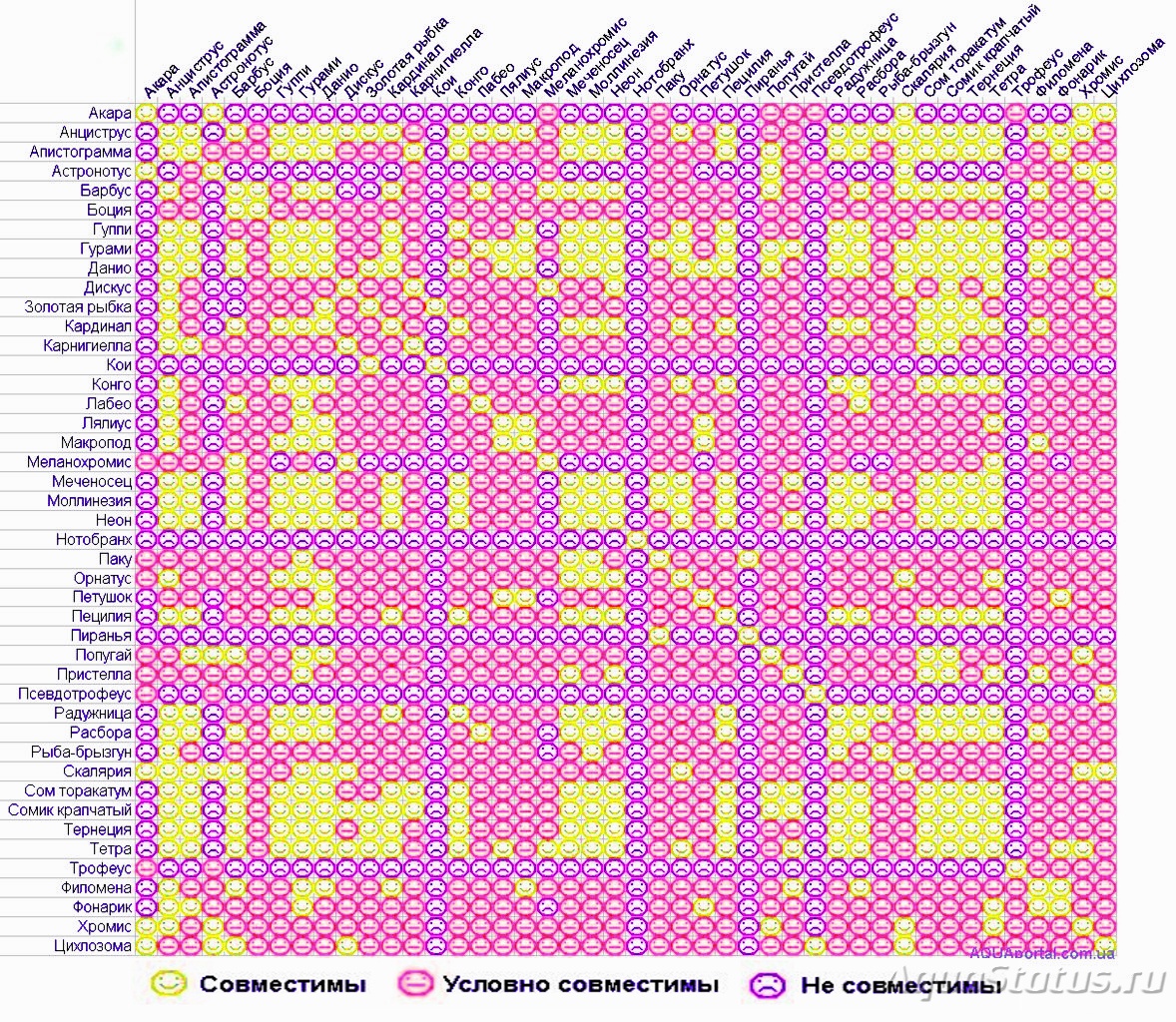 Совместимость аквариумных рыбок. Совместимость рыб в аквариуме таблица. Совместимость аквариумных рыбок в одном аквариуме таблица. Таблица совместимости рыб в одном аквариуме. Таблица совместимости гуппи с другими рыбками.