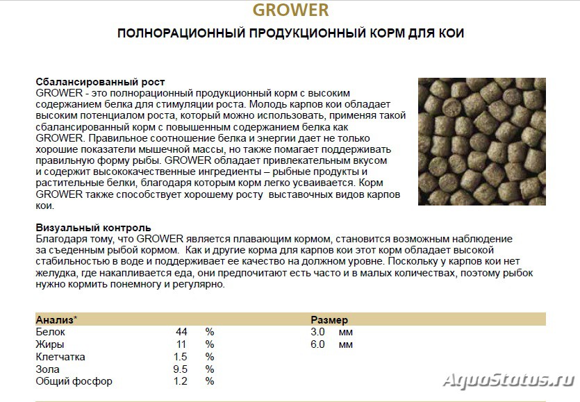 Корма для карпа кои рецепты