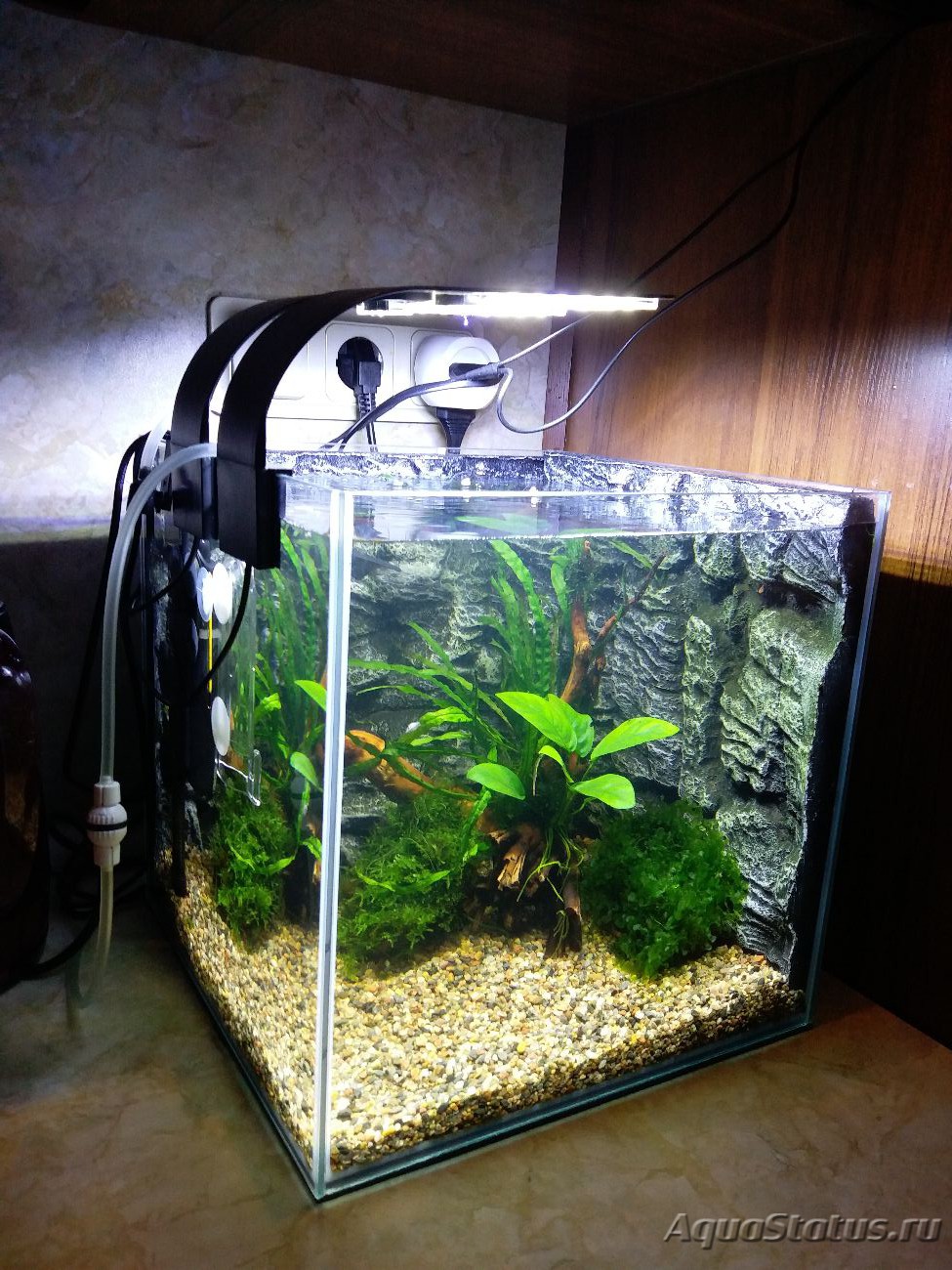 аквариум 30 литров куб оформление