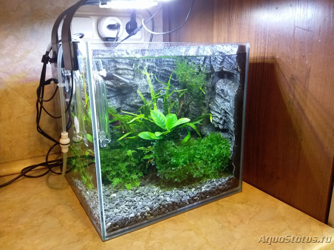аквариум куб 60 литров оформление