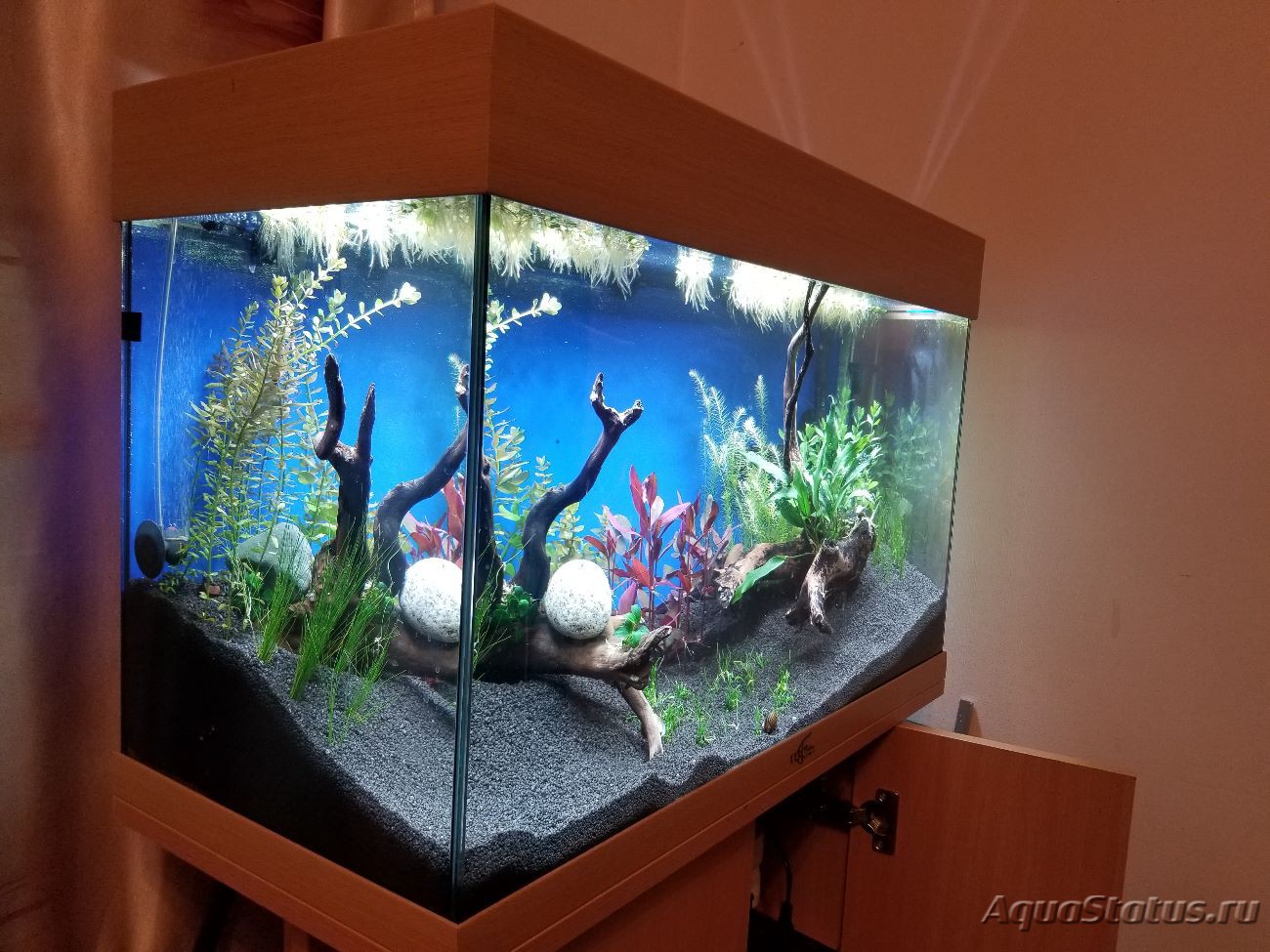 Дизайн аквариума 80 литров фото
