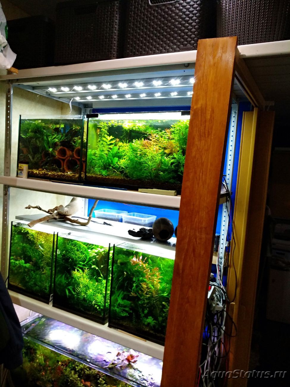 Стойки, тумбы и витрины для аквариумов, террариумов и орхидеариумов