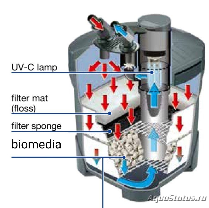 Аквариумные фильтры, виды и принципы работы.