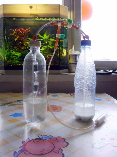 СО2 для аквариума. Углекислый газ и водородный показатель (рН) воды. | АквариумОК