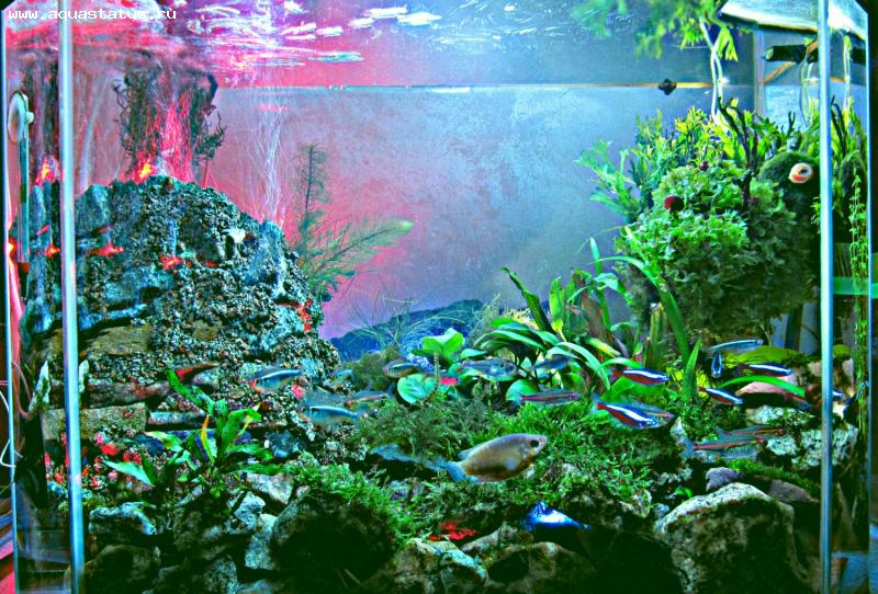 Декорация для аквариума Природа Вулкан 11 x 6 x 8 см (керамика)