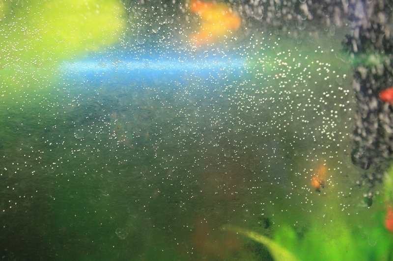 Правильное количество пузырьков для моего аквариума