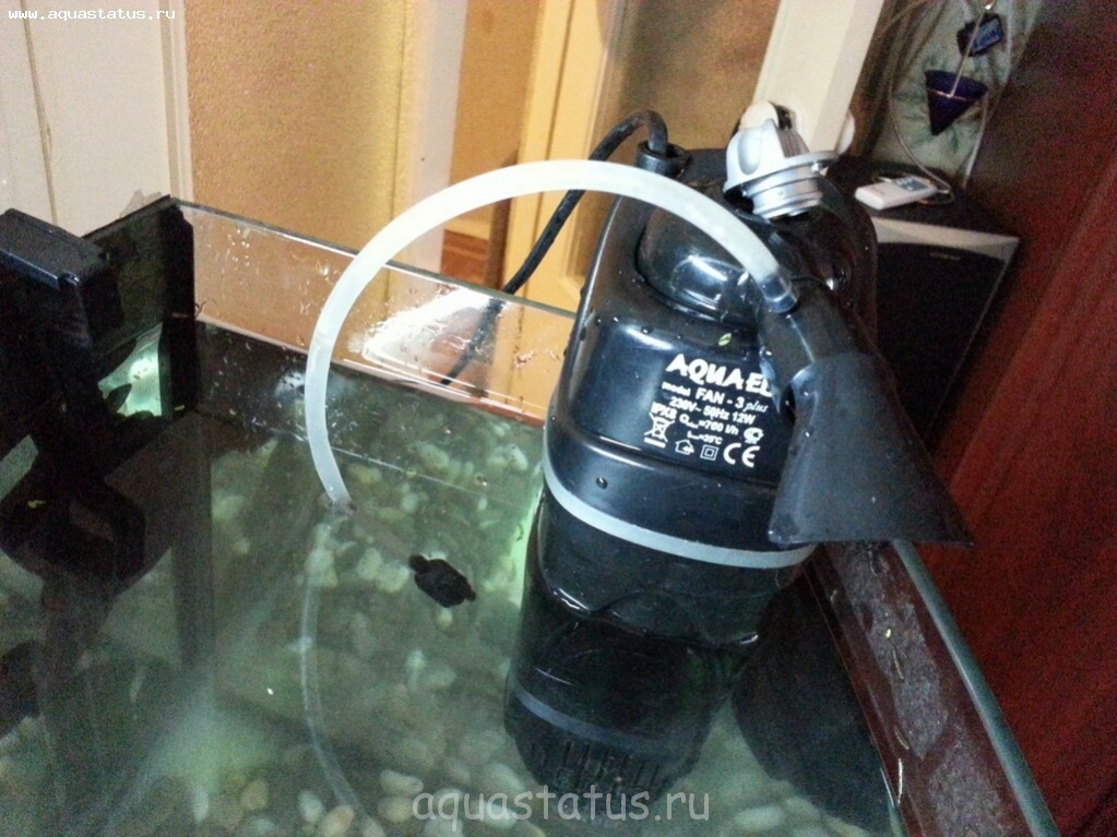 Что делать, если не работает фильтр для аквариума: решение проблемы