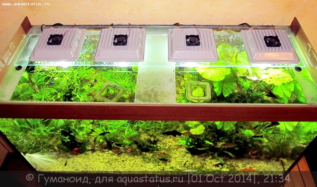 Виды светильников для аквариума