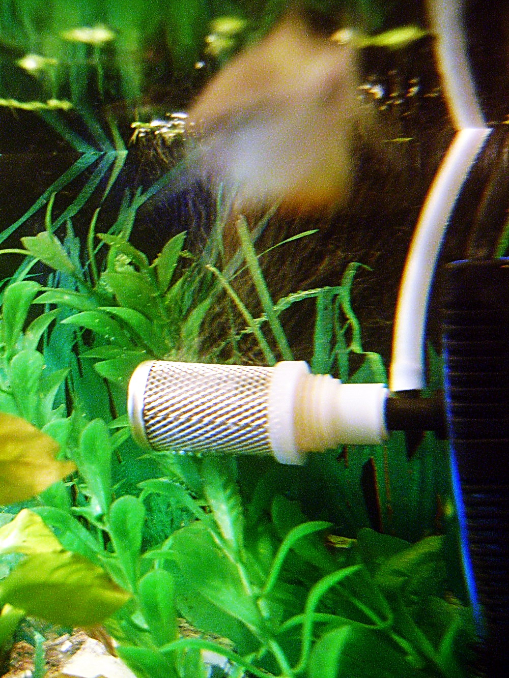 Можно отключать фильтр в аквариуме