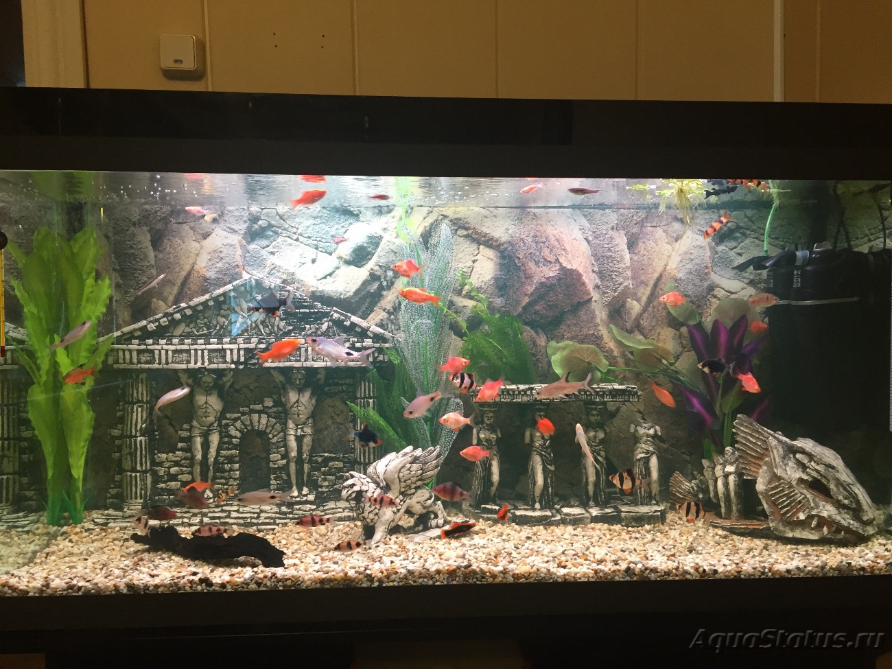 Оформление аквариума: фото, видео примеры, стили и варианты