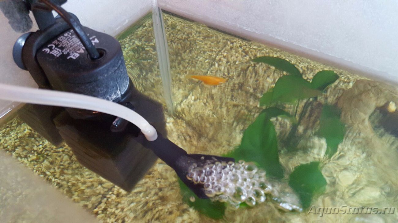 Типы фильтров для очистки воды в аквариуме