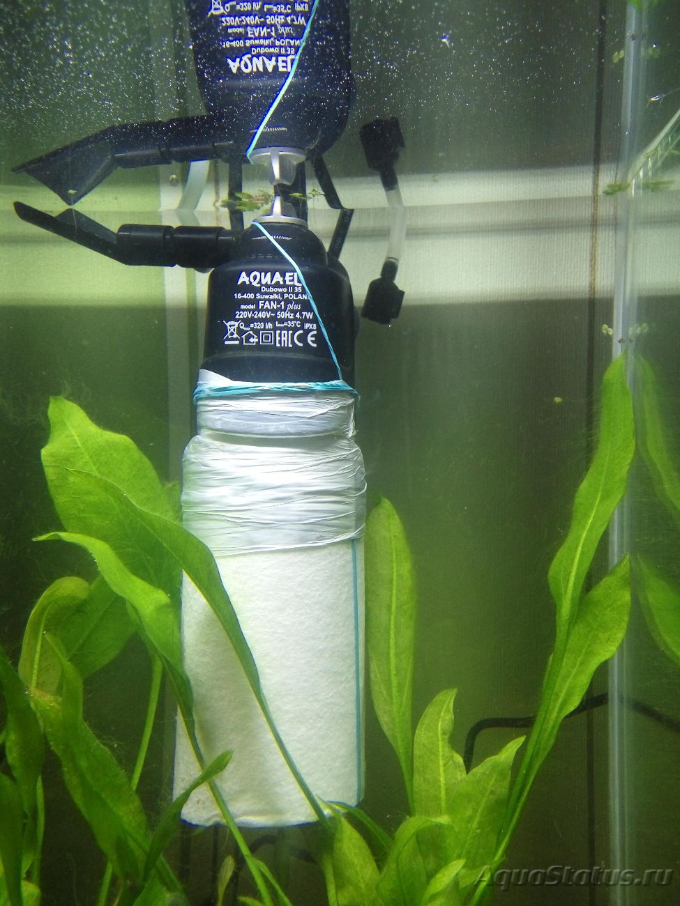 Как очистить воду в аквариуме