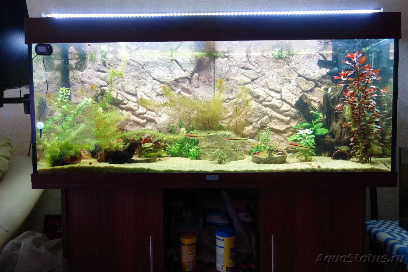 аквариум с тумбой juwel rio 240 led черный