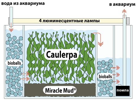 Самп схема для пресноводного аквариума