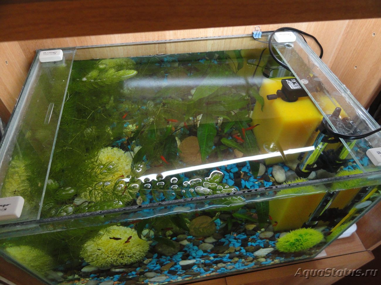 Как сделать аквариум своими руками?