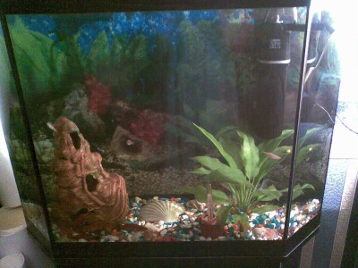 Мой аквариум 120 литров CriAnn  - 019.jpg