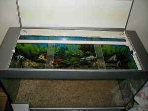 Освещение аквариума - советы бывшего дилетанта - 41_1.jpg