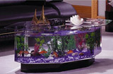 Как выбрать аквариум для рыбок? Выбор аквариума - 76_7.jpg