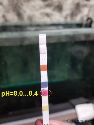 Запуск аквариума - pH.jpg