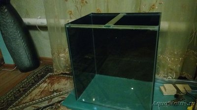 Фото Мой аквариум, чуть поменьше (photo#106356)