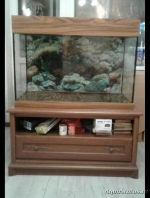 Фото Неровно стоит аквариум (photo#106614)