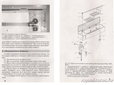 Фото Перенаселение аквариума (photo#108585)