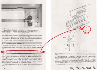 Фото Перенаселение аквариума (photo#108587)