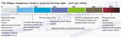 Заболели коридорасы конколор