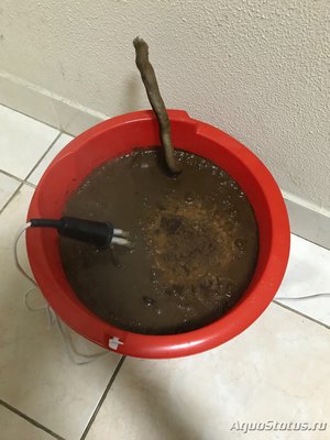 Мой первый серьезный аквариум (Атлант)