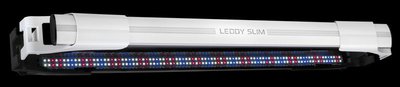 Фото Продам светильники AquaEl LEDDY SLIM PLANT, dophin ultraled 688, Chihiros LED C361 (photo#117625)