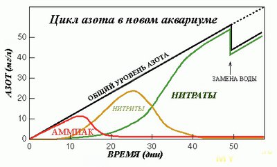 Фото Мой аквариум Подводный эдем в Риф 80 литров Litolayn  (photo#118066)