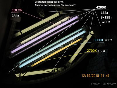 Подбор освещения для аквариума