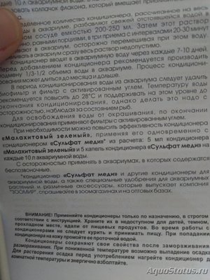 Определение и диагностика болезней у аквариумных рыб