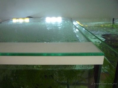 Покровное стекло на аквариум - P1130268.JPG