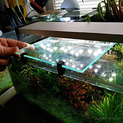 Фото Покровное стекло на аквариум (photo#125269)