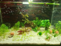 Мой аквариум "Домик для гуппи" 20 литров (AnnaS)
