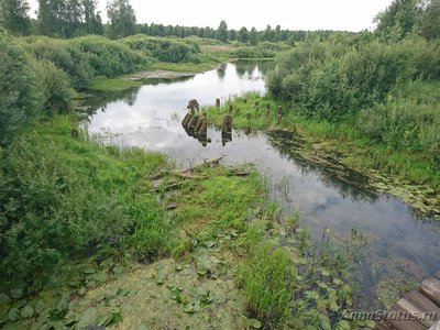 Фото Просто поболтать (photo#137010)