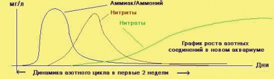 Фото Азотный цикл в аквариуме (photo#13854)