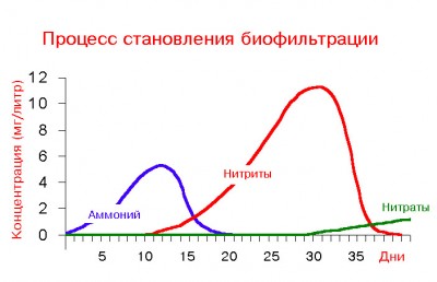 Фильтрация в аквариуме