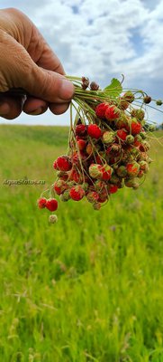 Просто поболтать