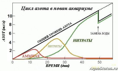 Фото Умирает рыбка в аквариуме (photo#143205)