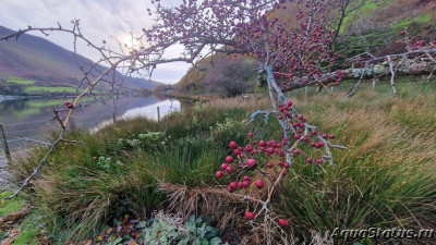 Озеро Llyn Mwingil в Северном Уэлсе