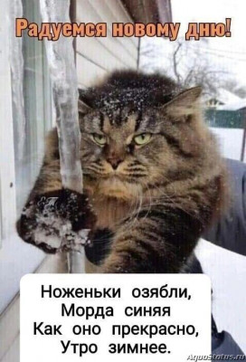 Просто поболтать