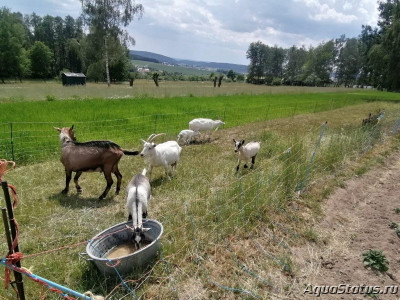 Красивые места, в которых я был