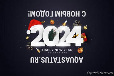 С наступающим Новым 2024 годом!