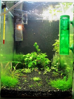 Мини аквариум 30 литров greblin  - IMG_1289.jpg