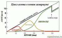 Барбус лежит на боку на грунте